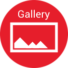 Фотогалерея из медиабиблиотеки.